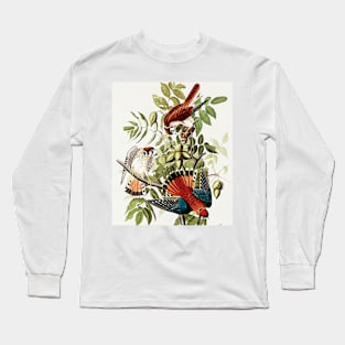 Bird of America  Bird, bird lover, america, beautiful  Public domain painting by John James Audubon Long Sleeve T-Shirt